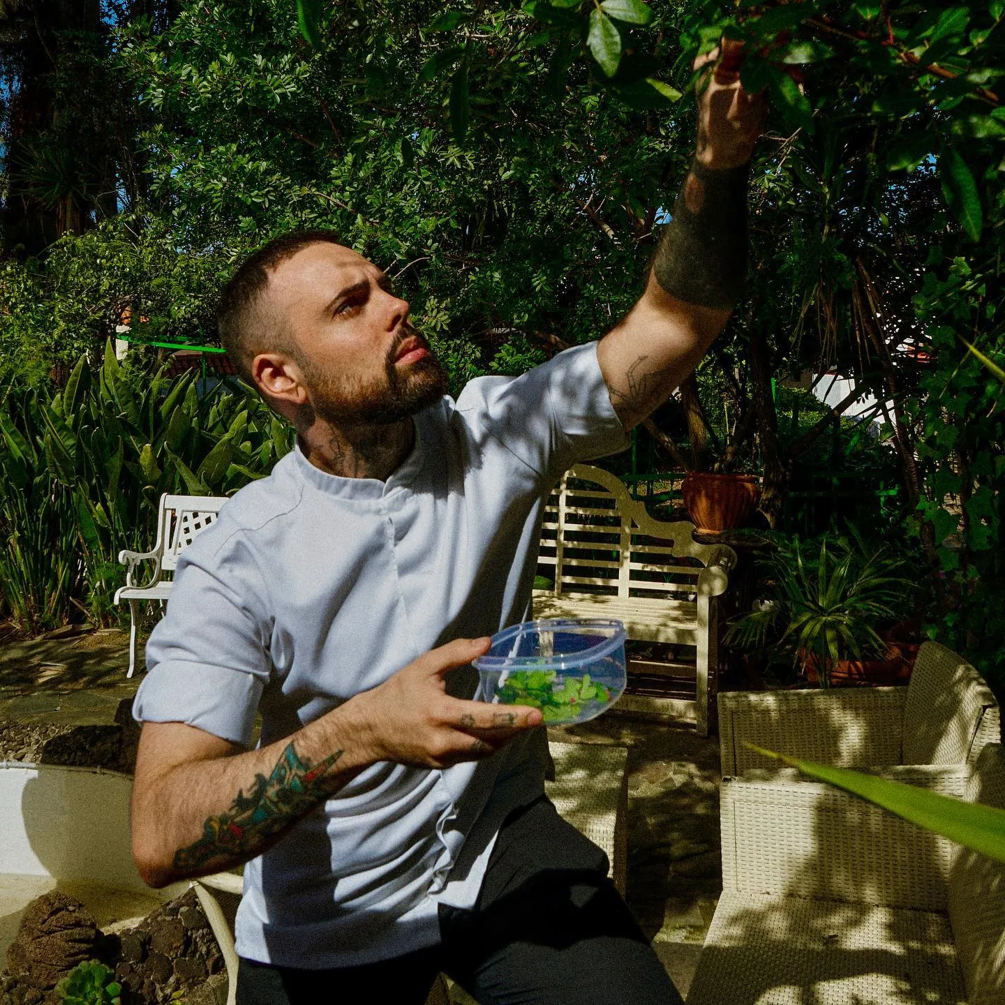 Chef Dwyght Vester foraging wild herbs for a private dinner